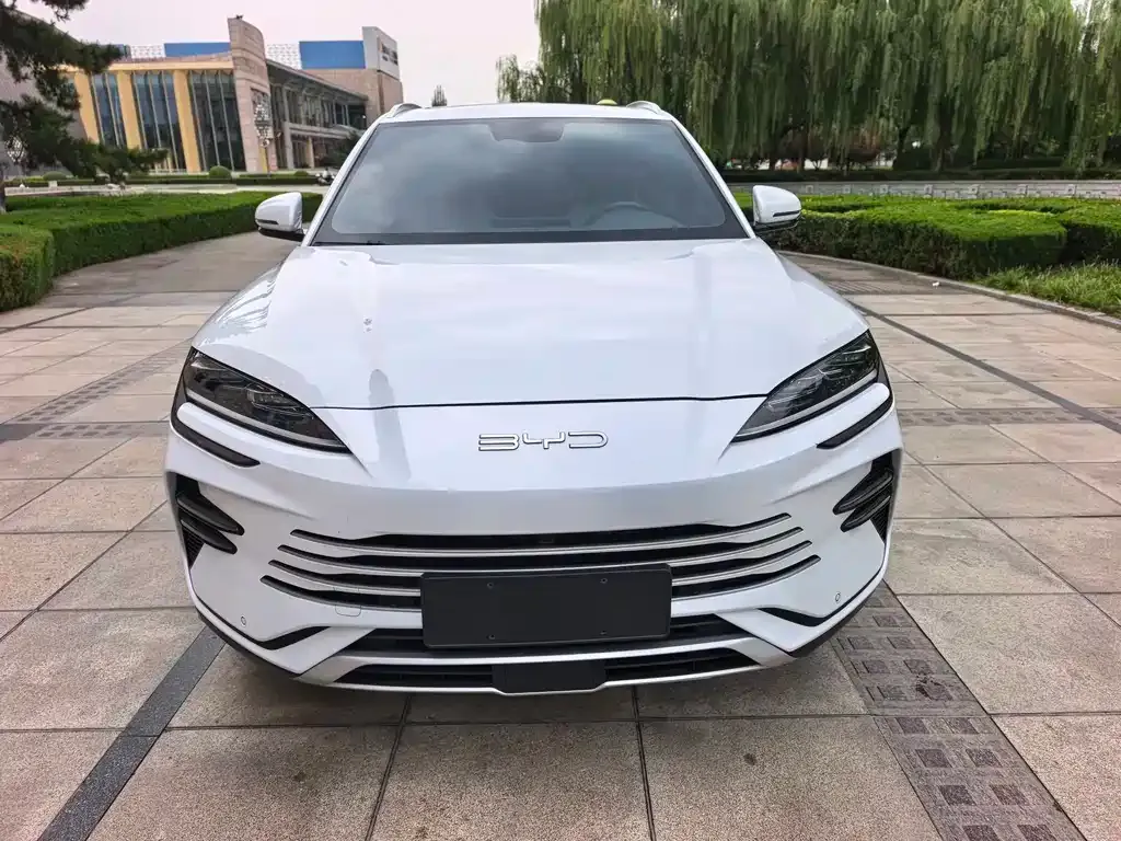 BYD PLUS New Energy — фото 1