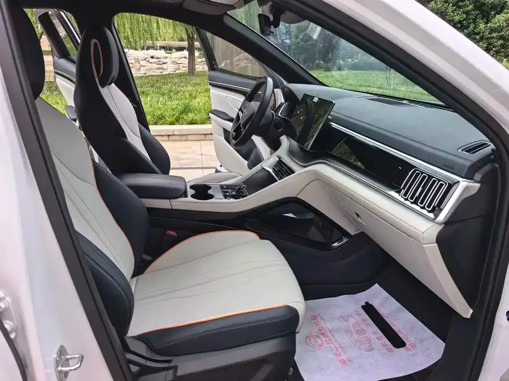 BYD PLUS New Energy — фото 10