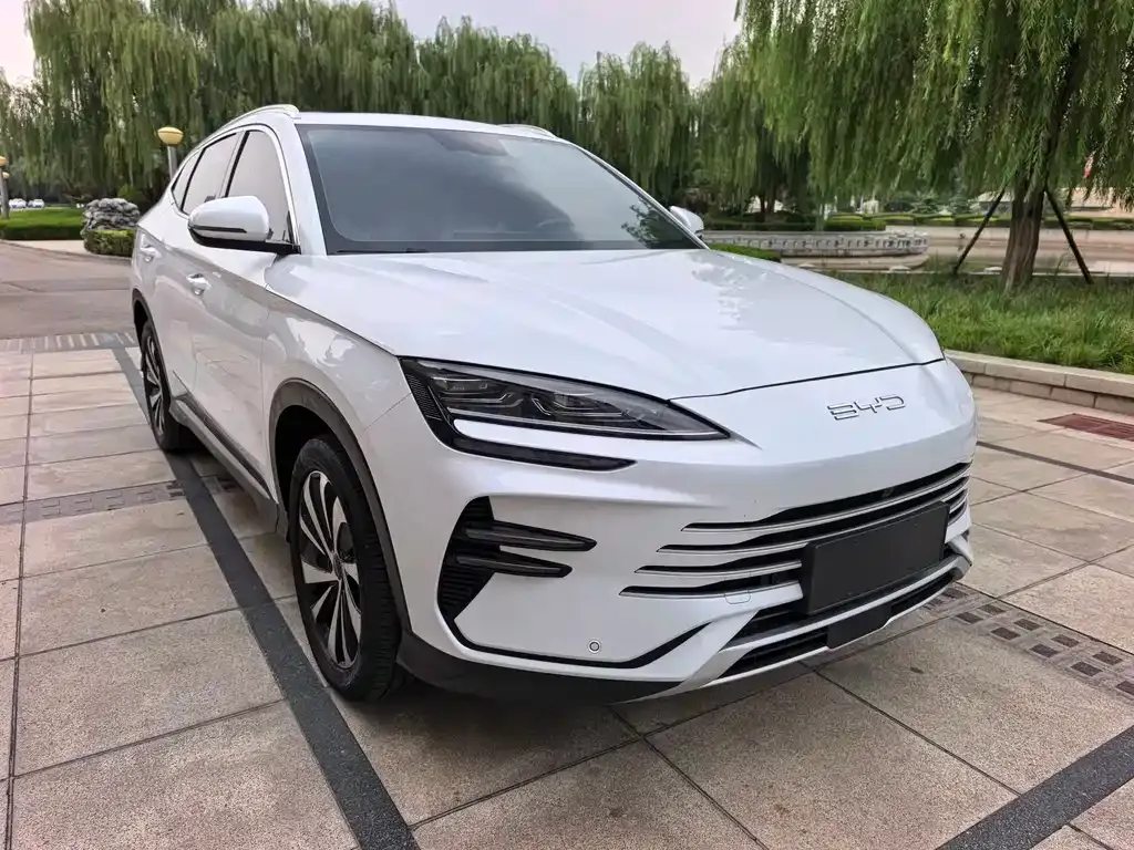 BYD PLUS New Energy — фото 6