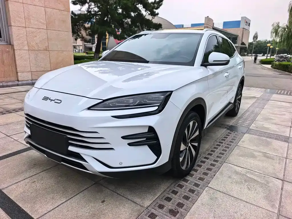 BYD PLUS New Energy — фото 3