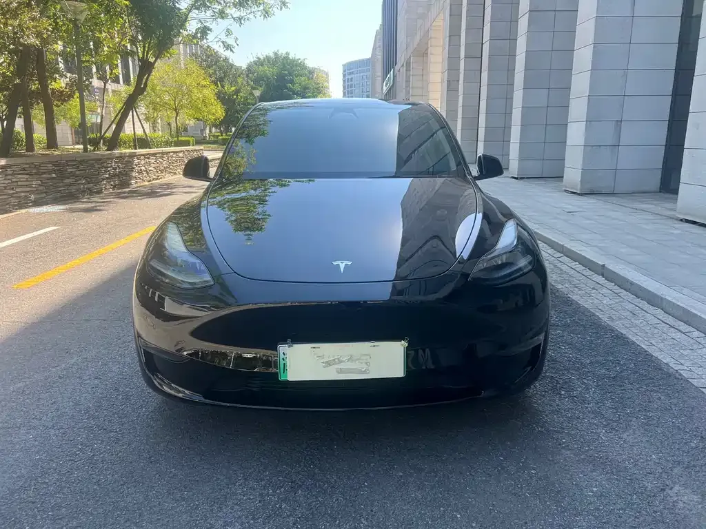 Tesla Model Y — фото 6