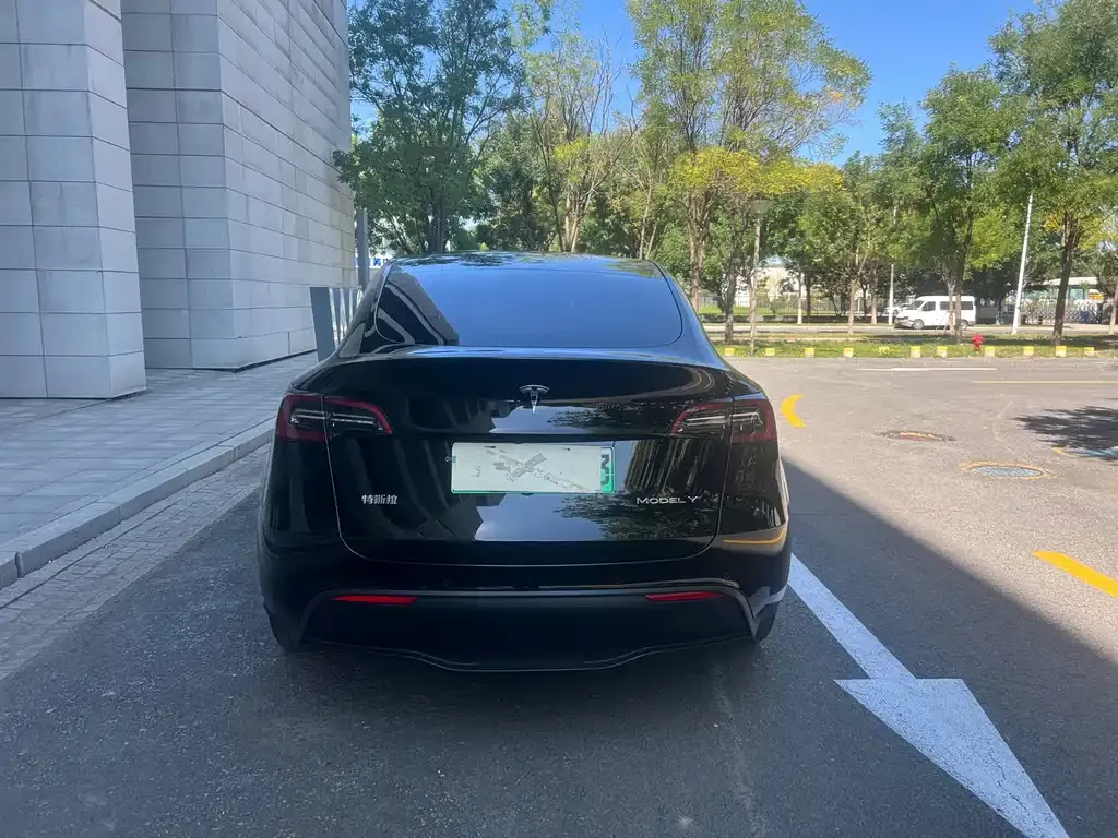 Tesla Model Y — фото 10