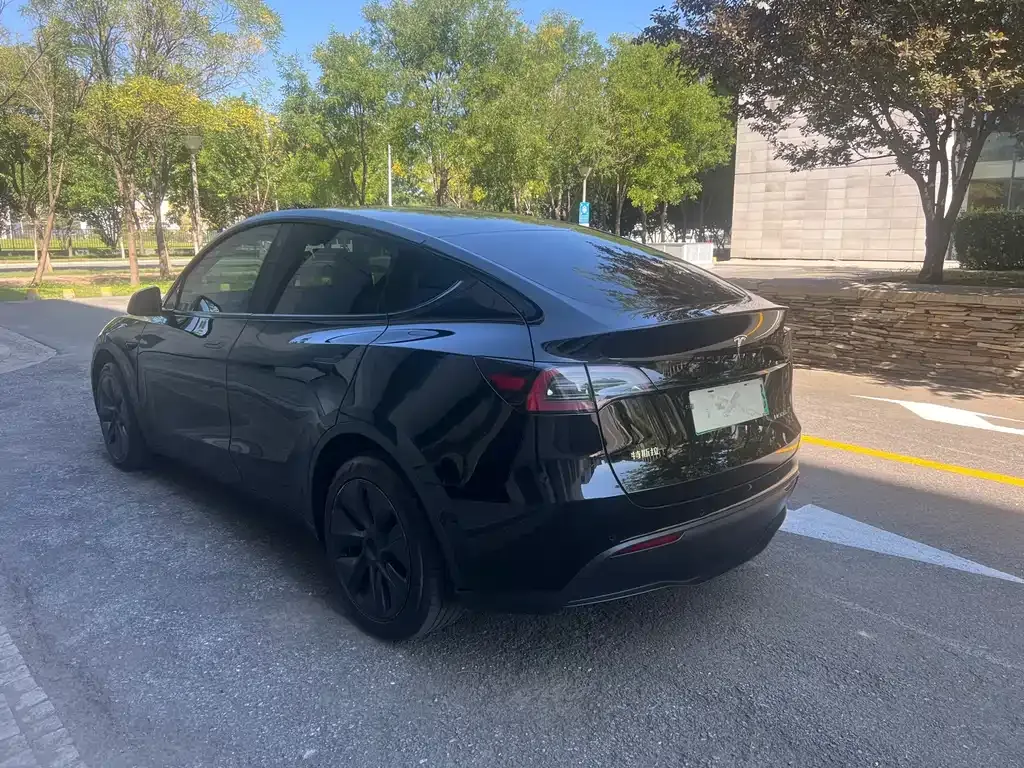 Tesla Model Y — фото 8