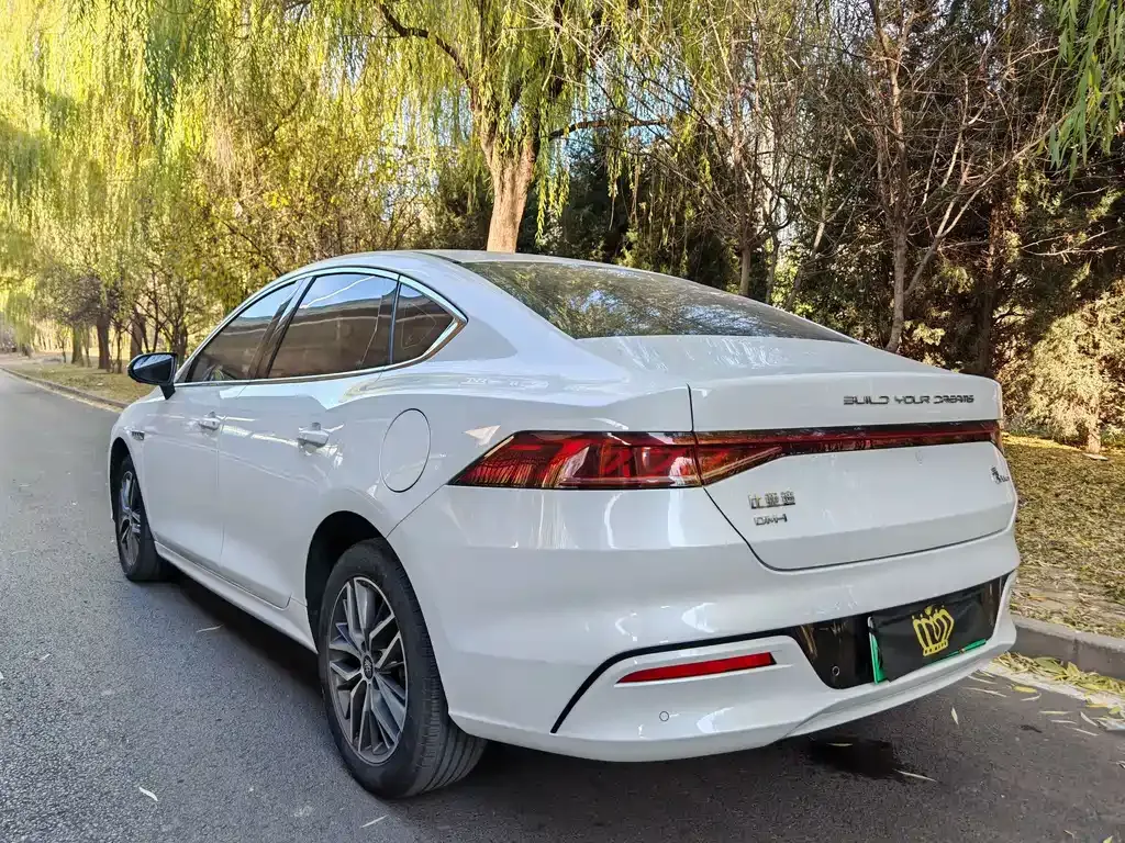 BYD Qin PLUS — фото 10