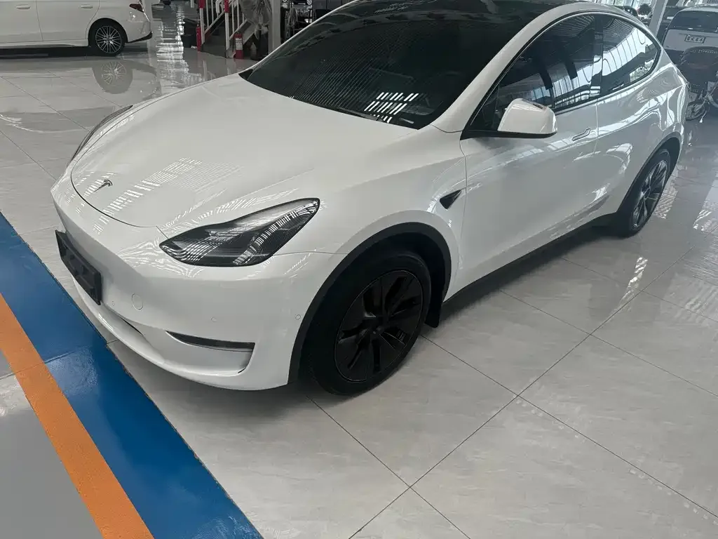 Tesla Model Y — фото 1