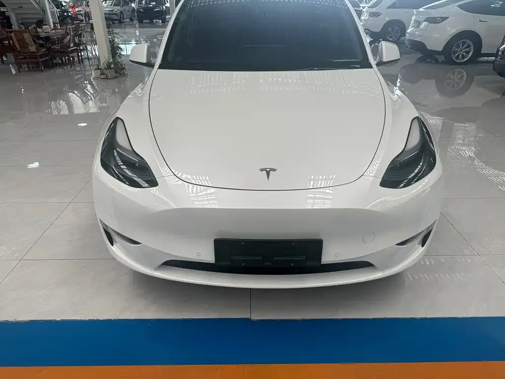 Tesla Model Y — фото 9
