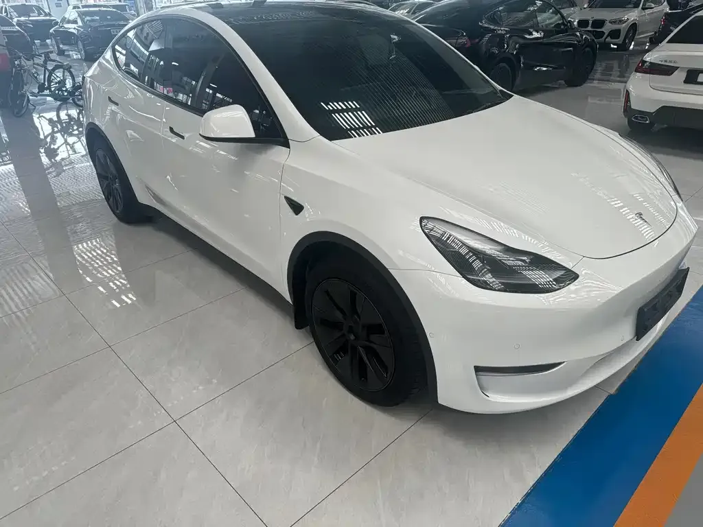 Tesla Model Y — фото 3