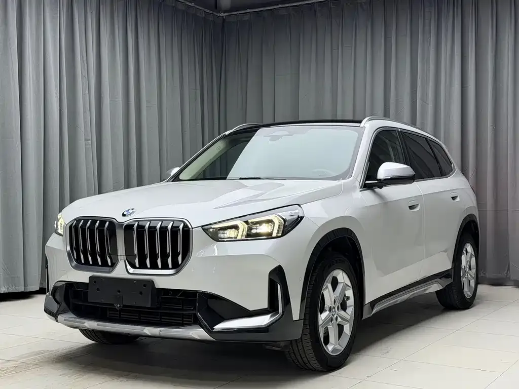 BMW X1 — фото 1