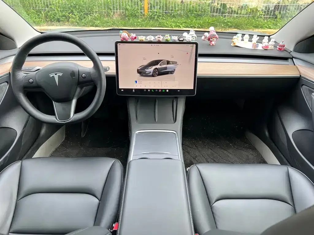 Tesla Model 3 — фото 2