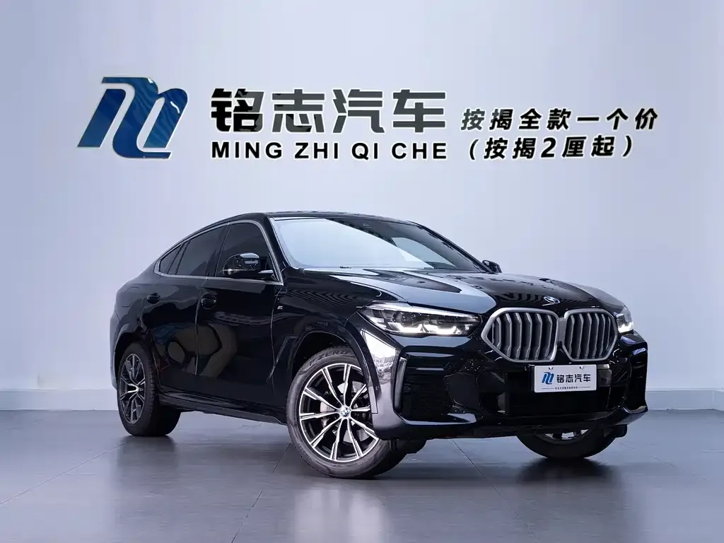 BMW X6 — фото 7