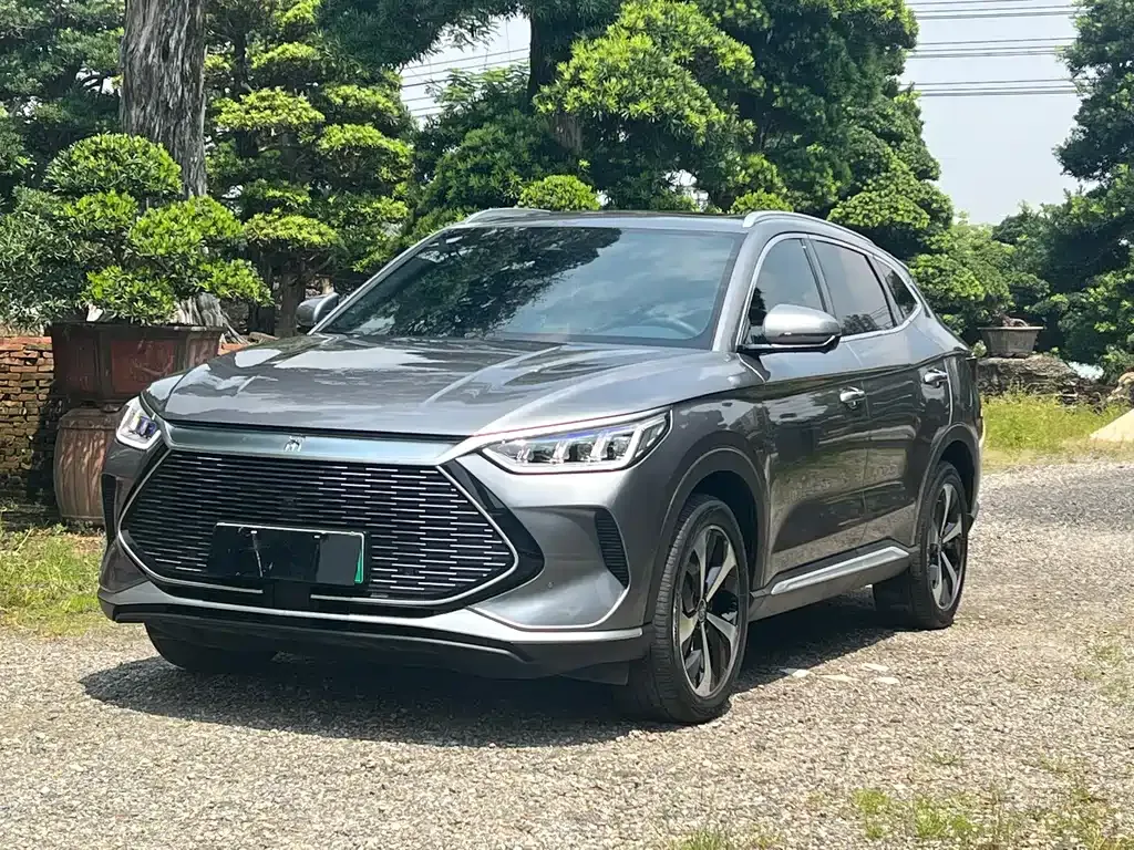 BYD PLUS New Energy — фото 1