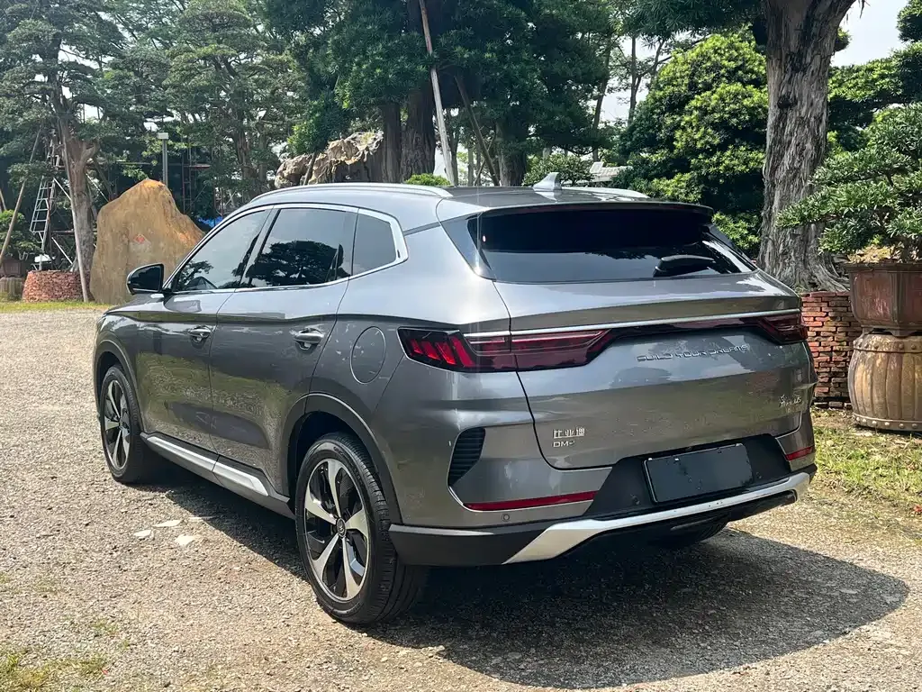 BYD PLUS New Energy — фото 2
