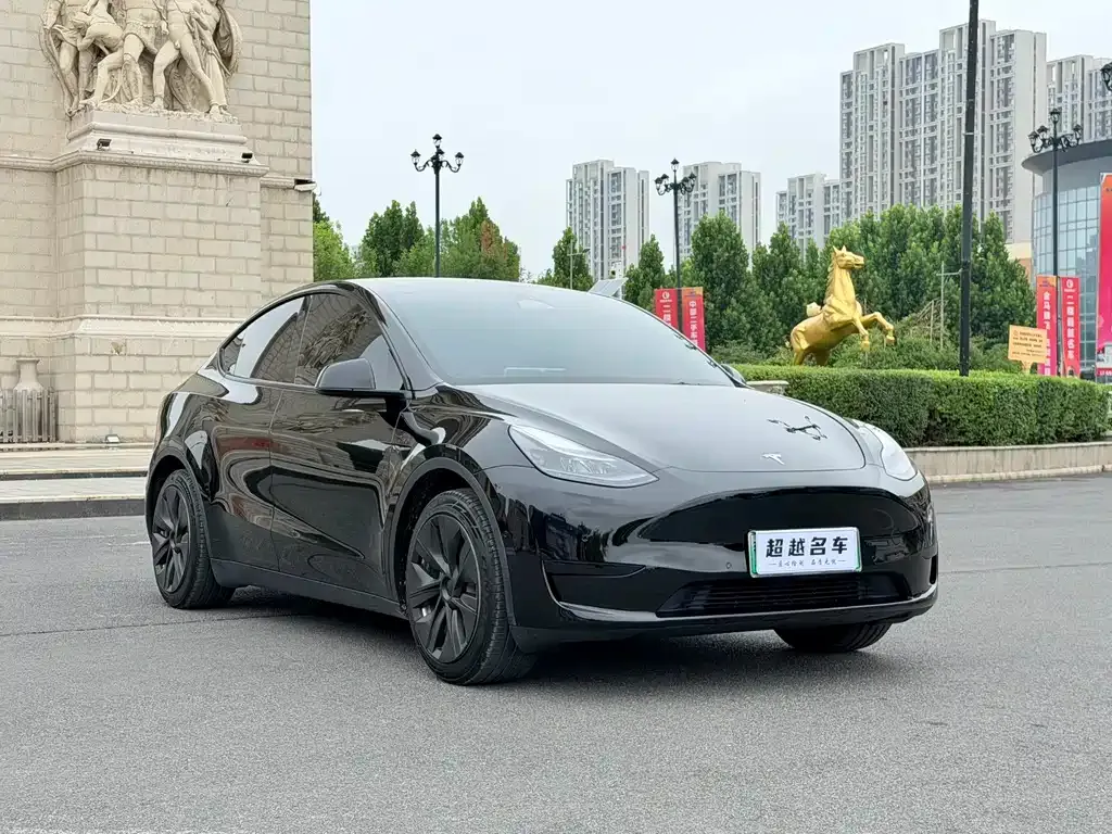 Tesla Model Y — фото 5