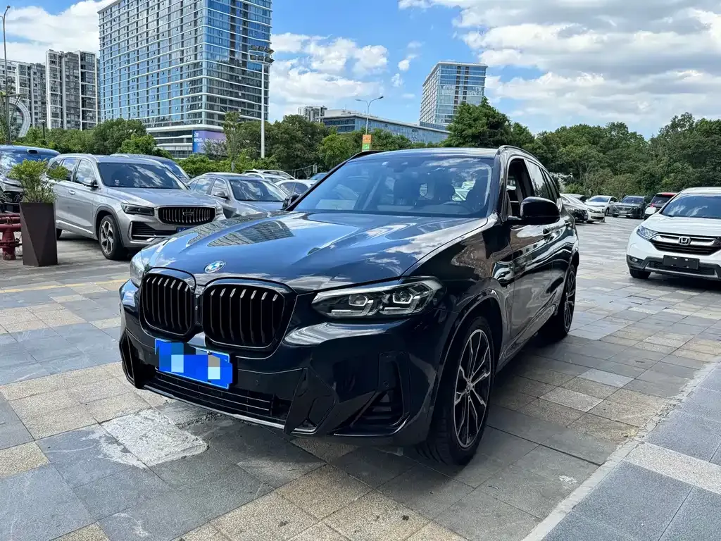 BMW X3 — фото 1