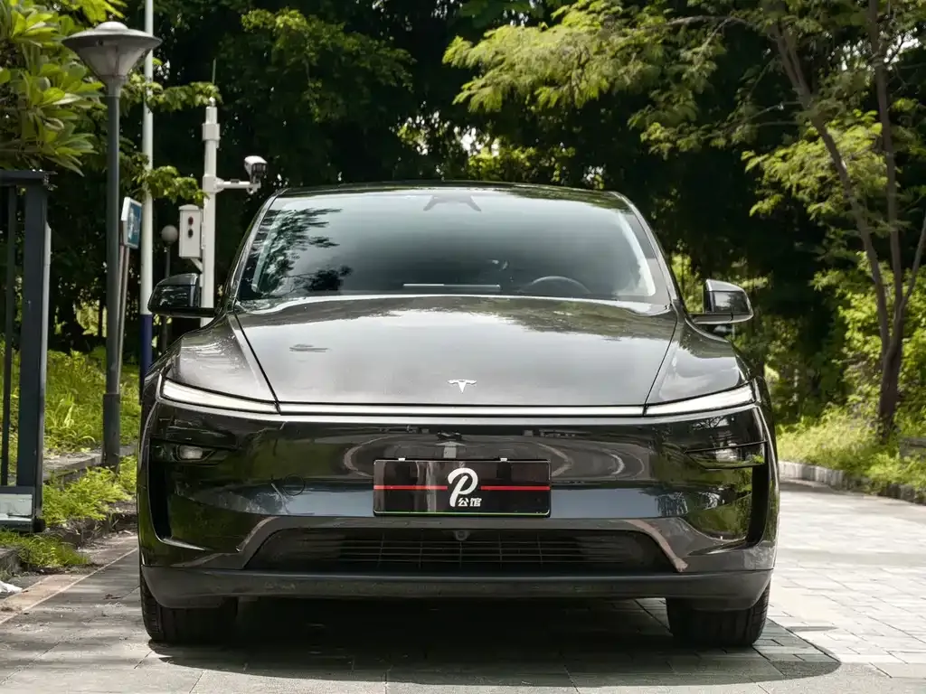 Tesla Model Y — фото 6