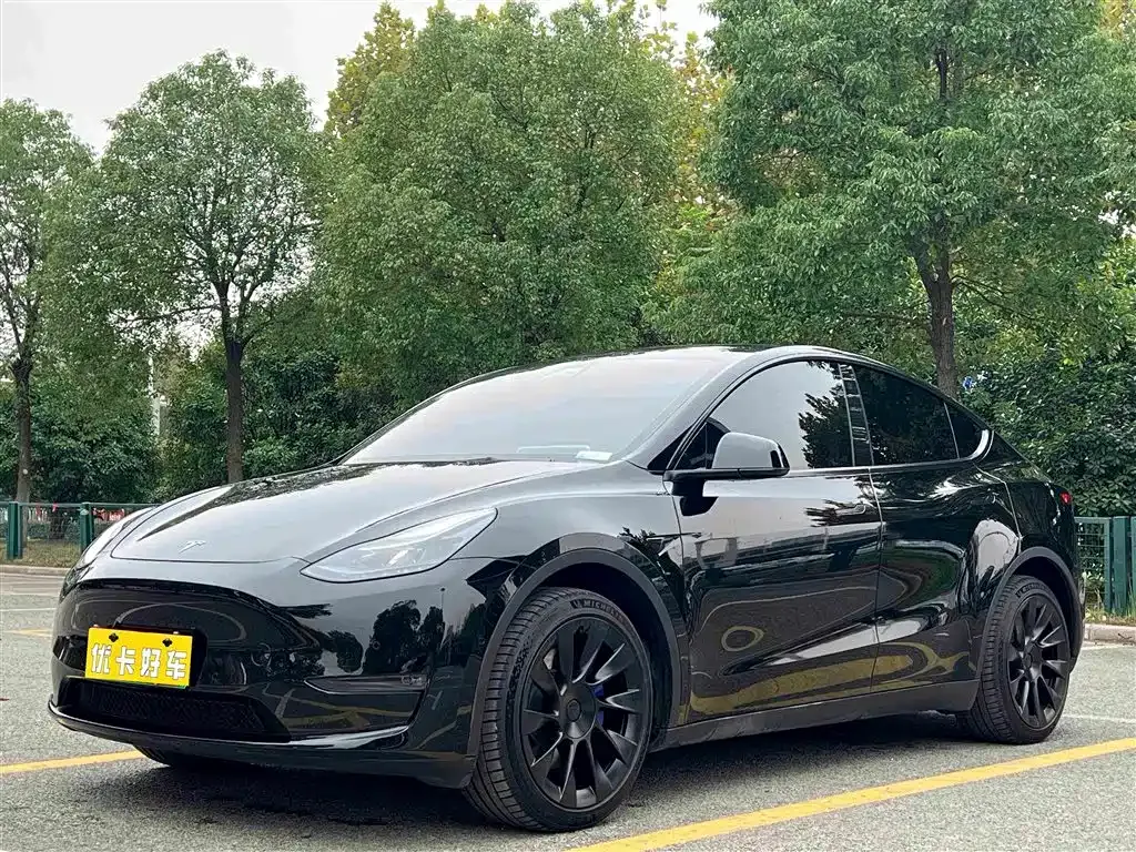 Tesla Model Y — фото 1
