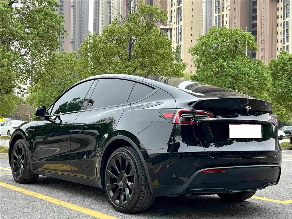 Tesla Model Y — фото 2