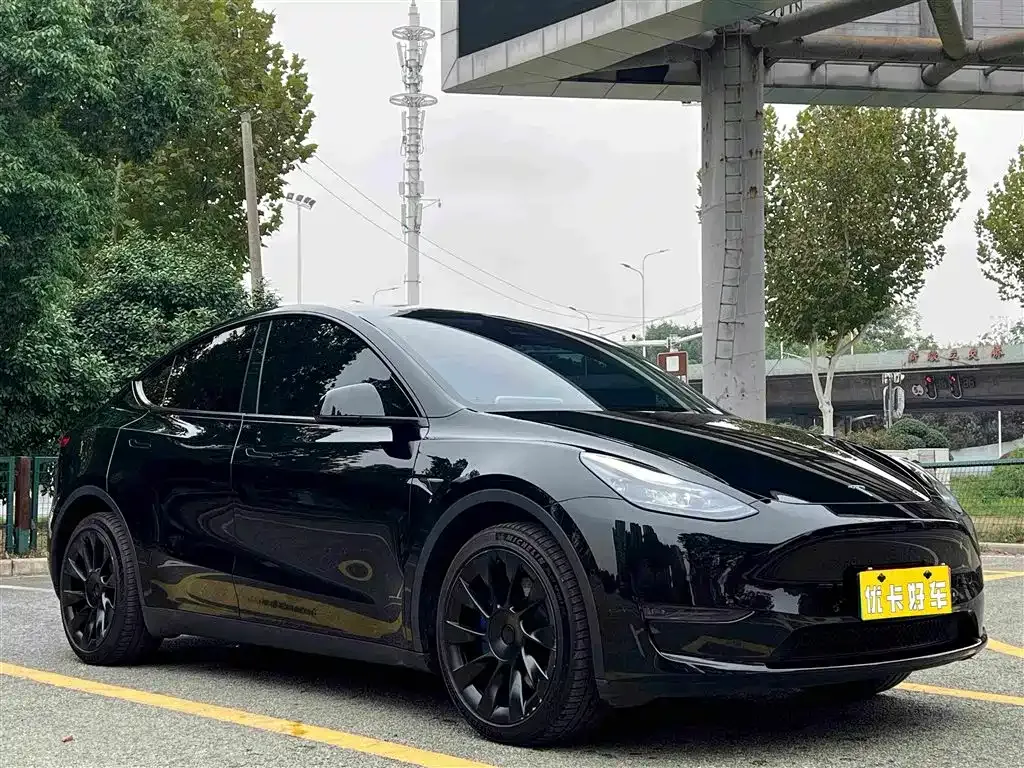 Tesla Model Y — фото 10