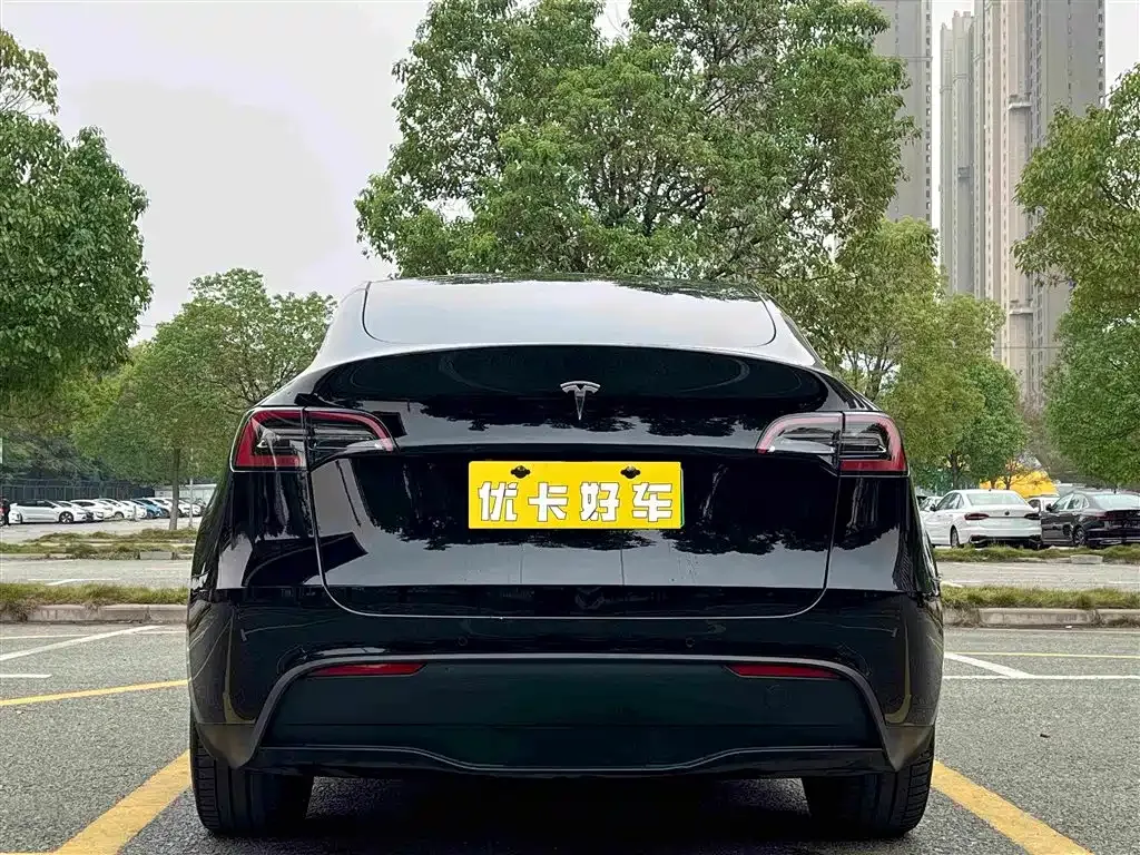 Tesla Model Y — фото 3
