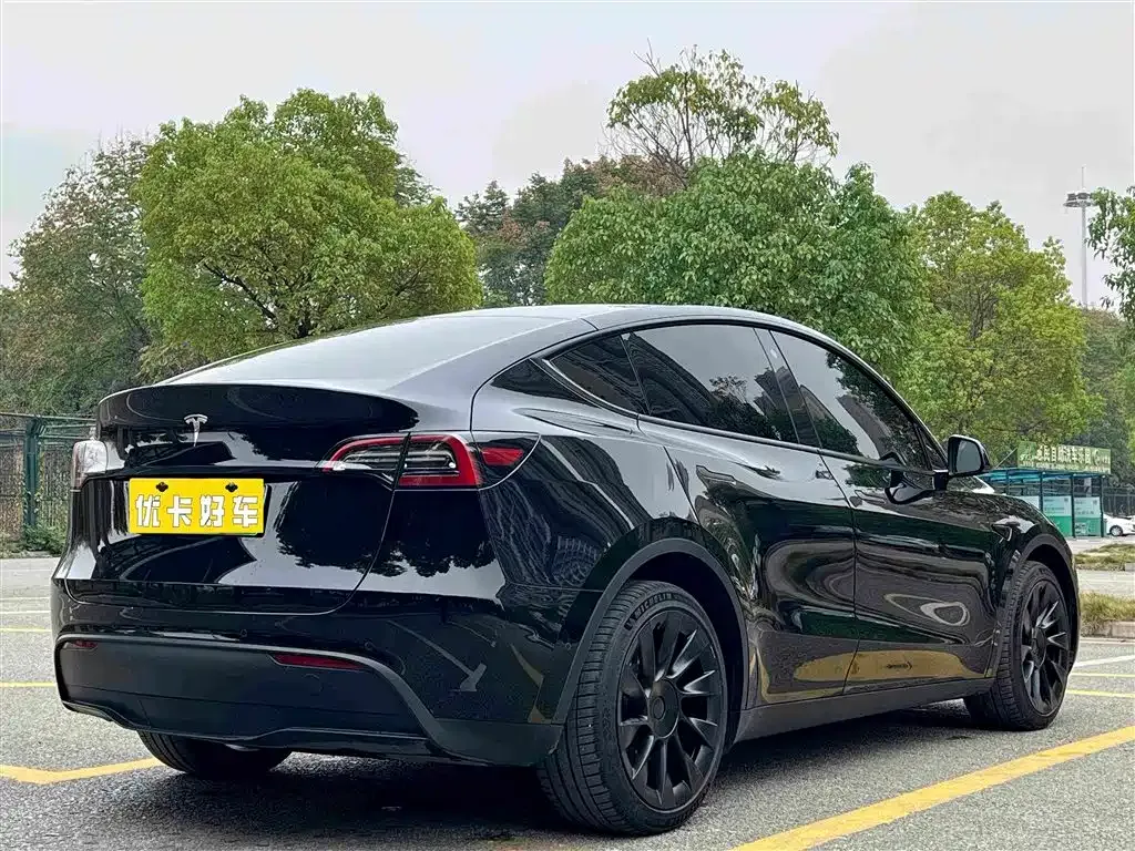 Tesla Model Y — фото 6