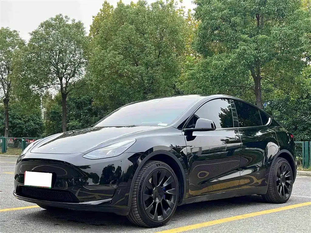 Tesla Model Y — фото 8