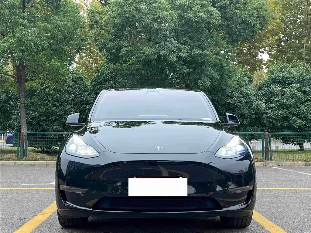 Tesla Model Y — фото 5