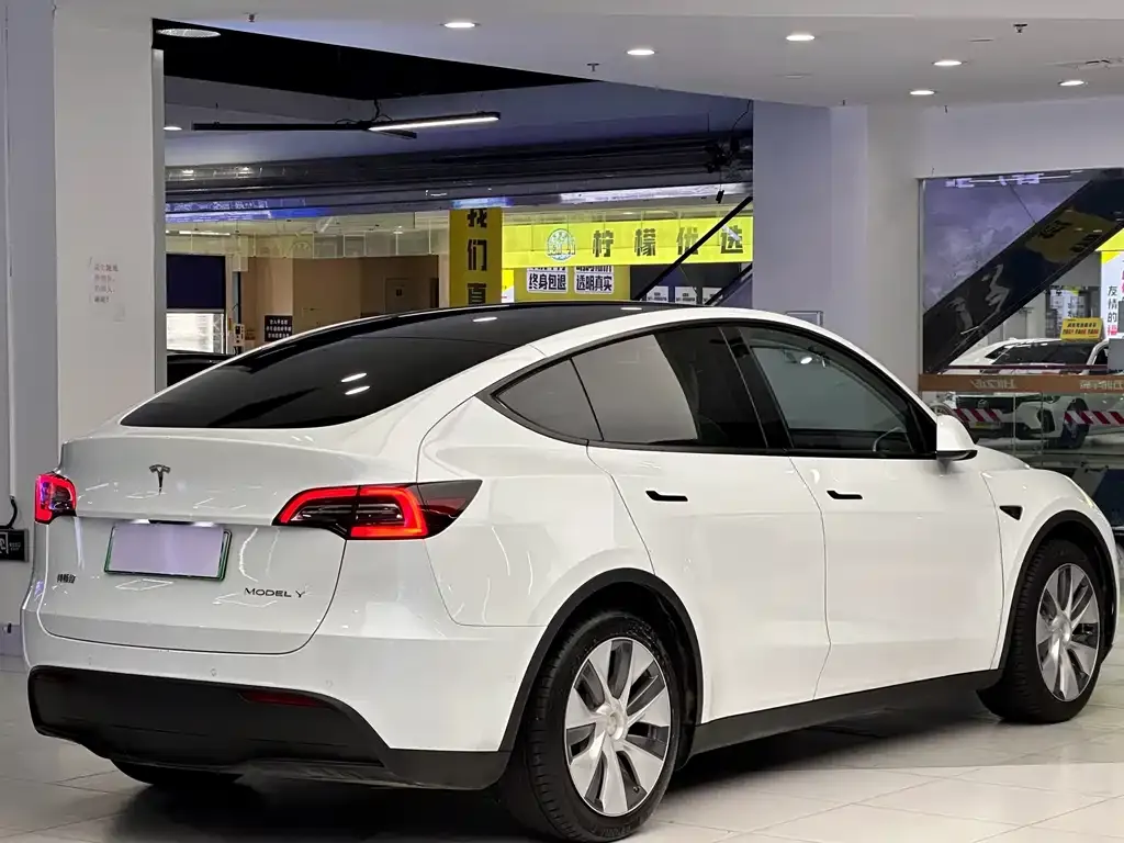 Tesla Model Y — фото 8
