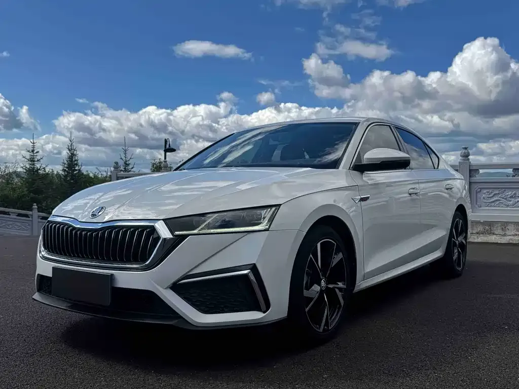 Skoda Octavia — фото 1