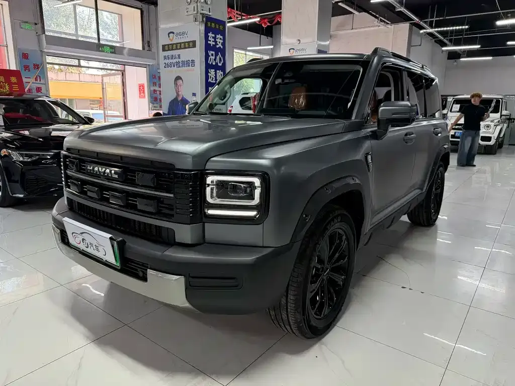 Haval Menglong New Energy — фото 1