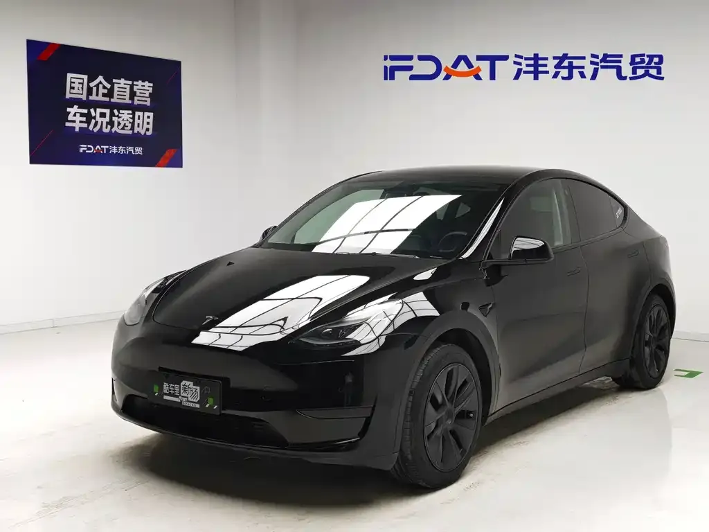Tesla Model Y — фото 1