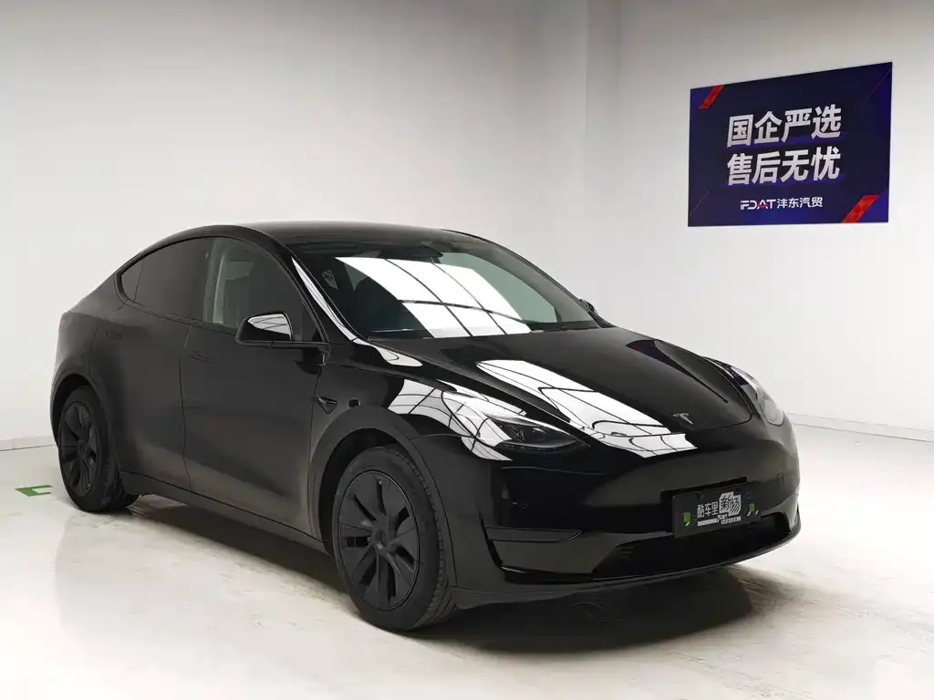 Tesla Model Y — фото 4