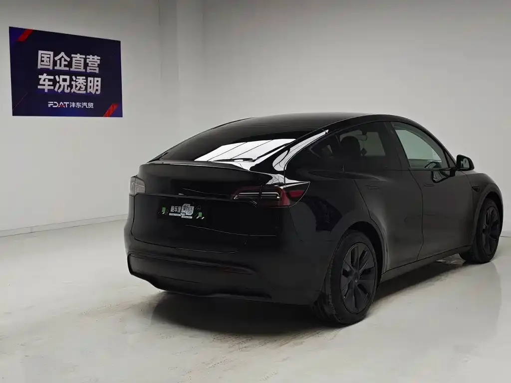 Tesla Model Y — фото 7