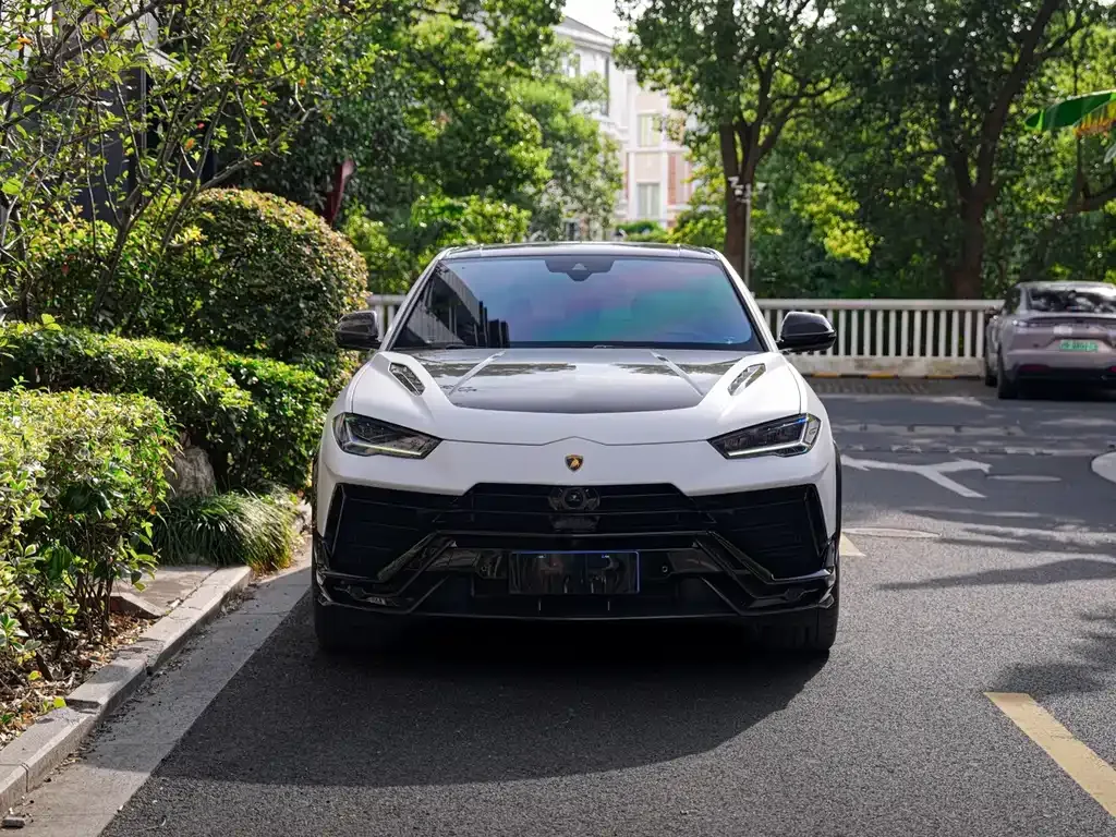 Lamborghini Urus — фото 10