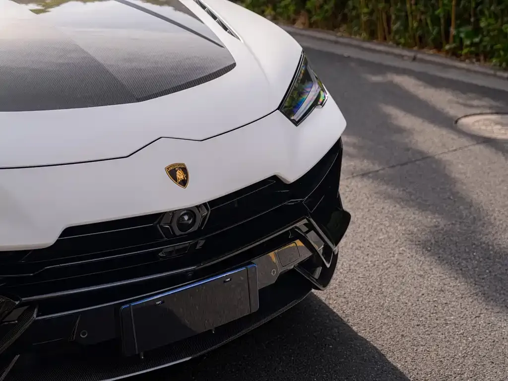 Lamborghini Urus — фото 9