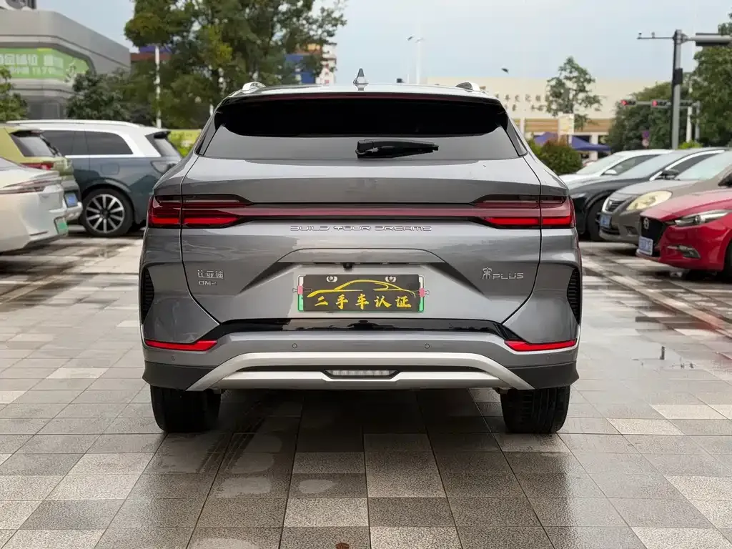 BYD PLUS New Energy — фото 3