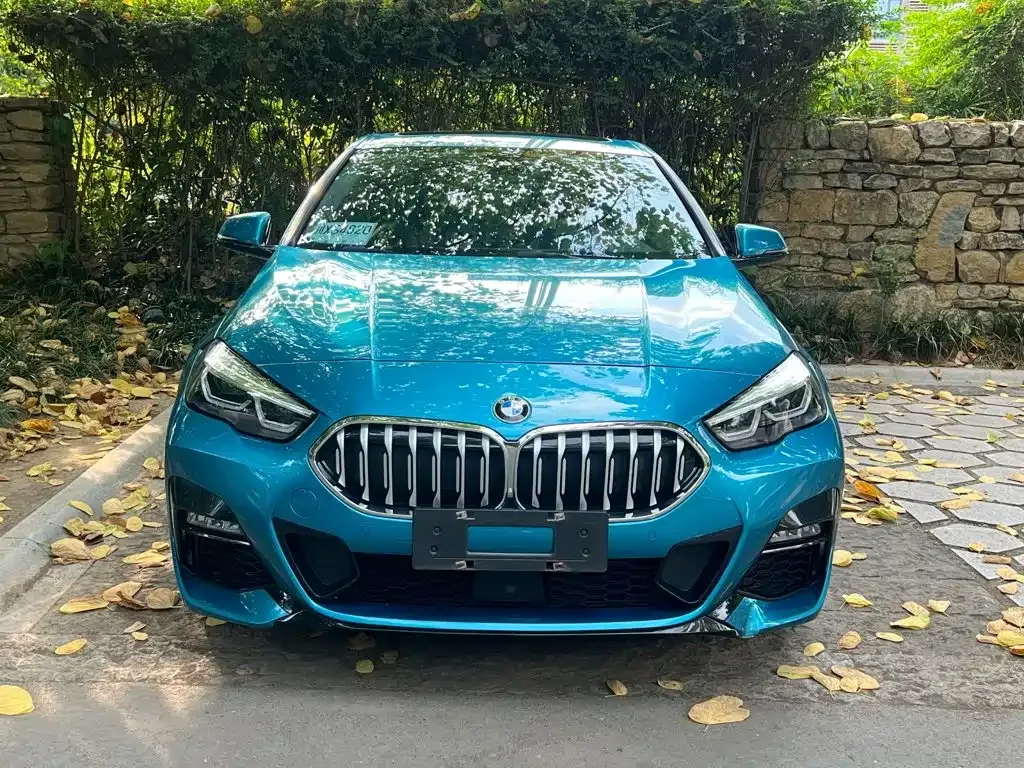 BMW 2 Series (Import) — фото 7