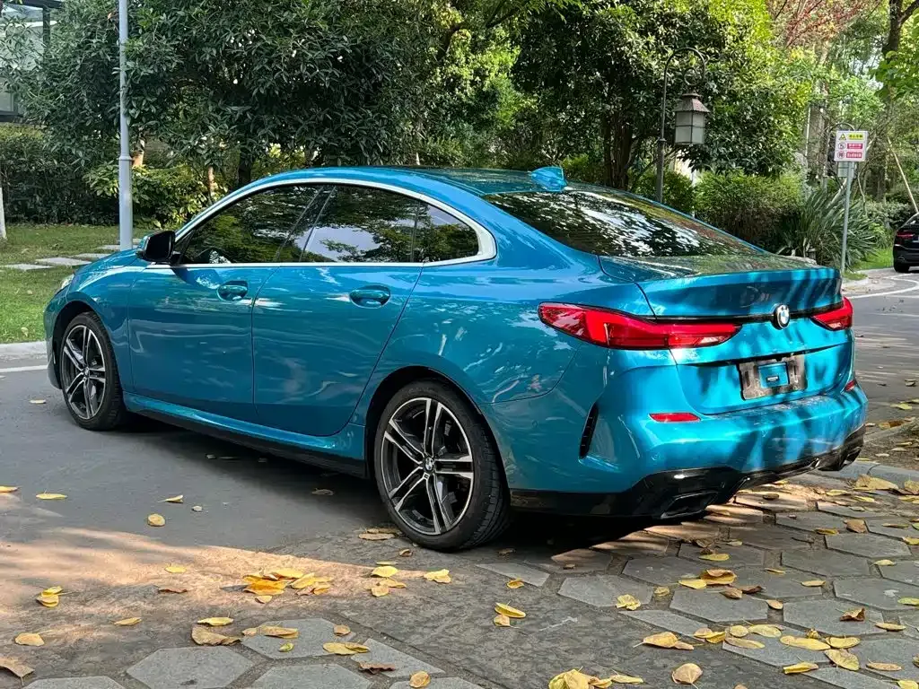 BMW 2 Series (Import) — фото 8