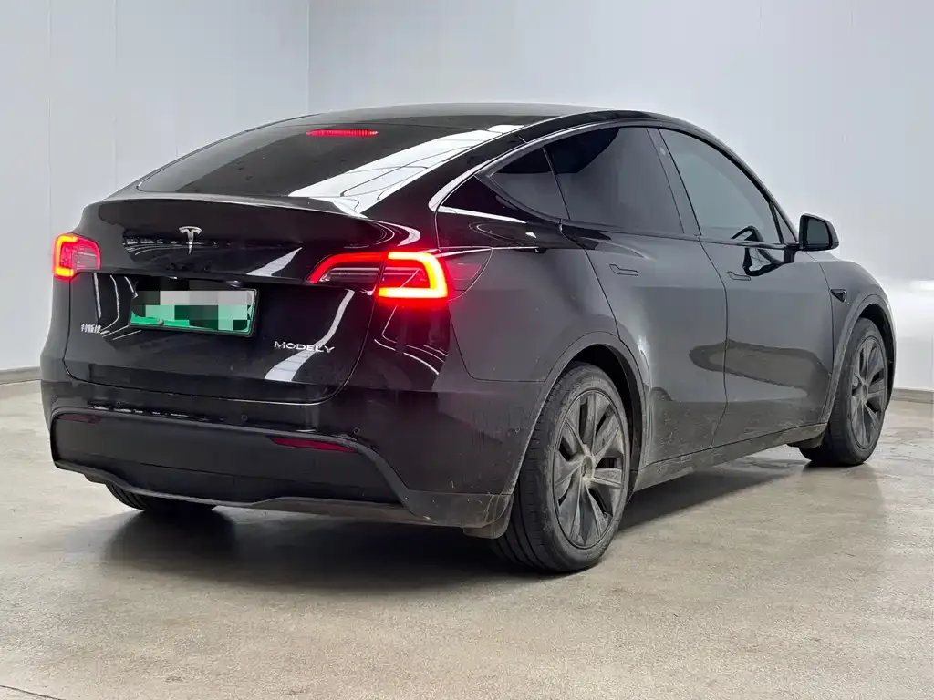 Tesla Model Y — фото 8