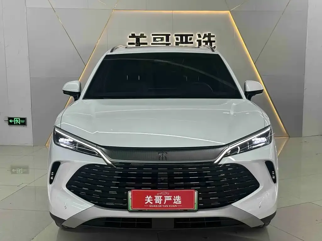 BYD L DM-i — фото 2