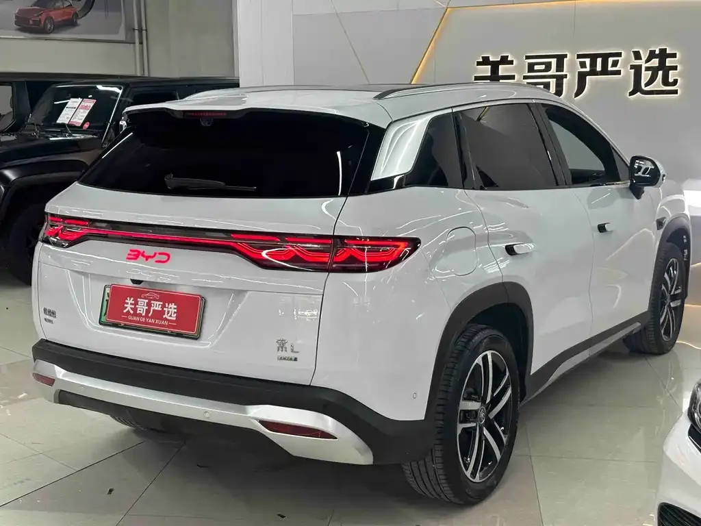 BYD L DM-i — фото 4