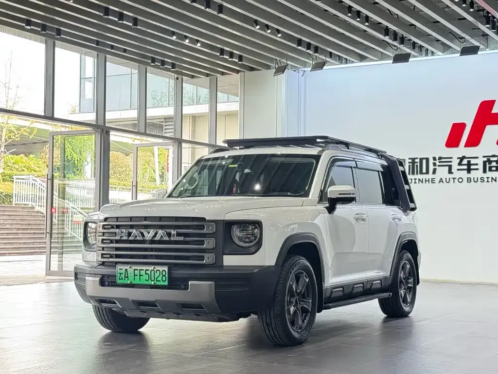 Haval Menglong New Energy — фото 1