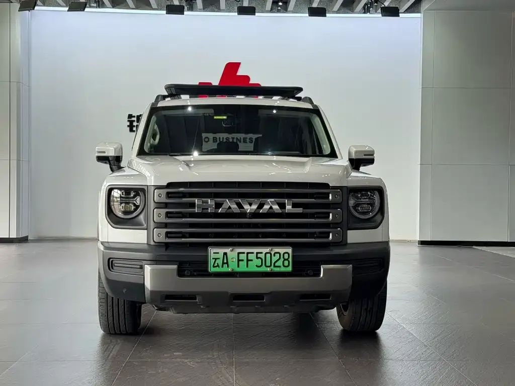 Haval Menglong New Energy — фото 2