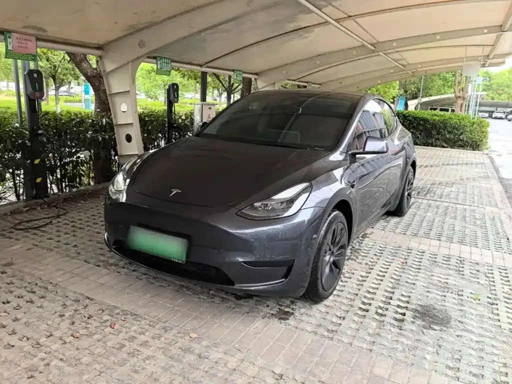 Tesla Model Y — фото 6