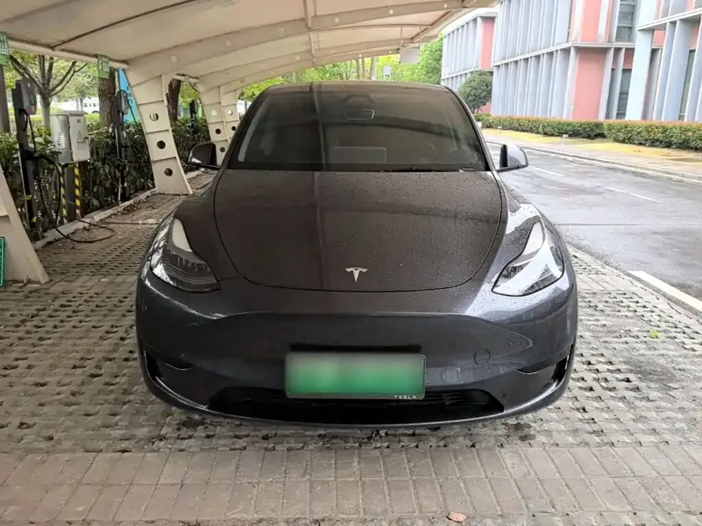 Tesla Model Y — фото 10