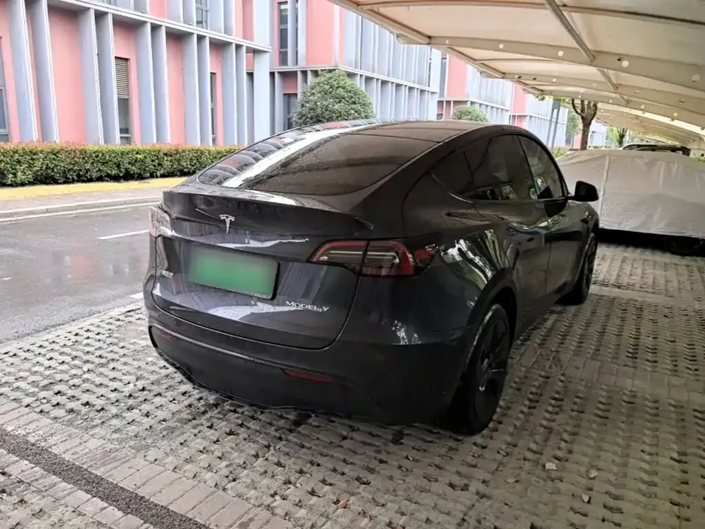 Tesla Model Y — фото 3
