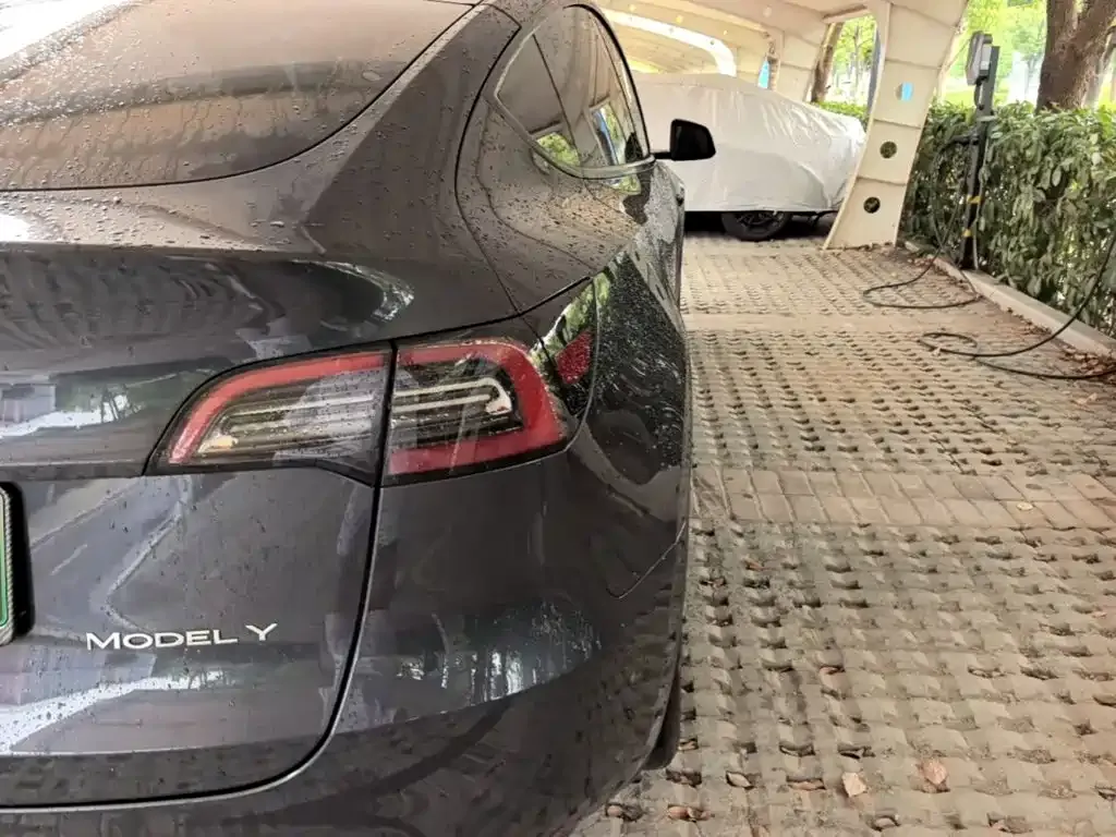 Tesla Model Y — фото 9