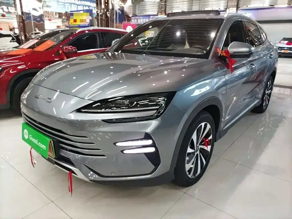 BYD PLUS New Energy — фото 1