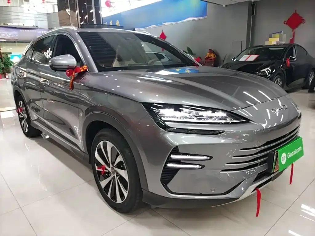 BYD PLUS New Energy — фото 8