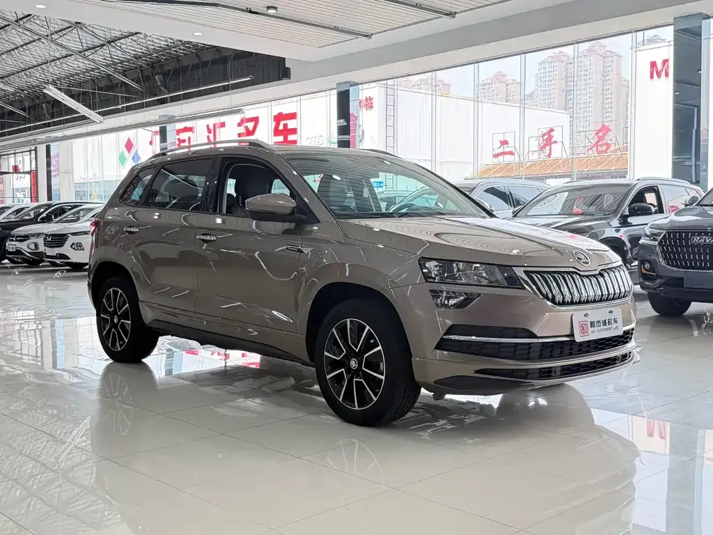 Skoda Karoq — фото 6