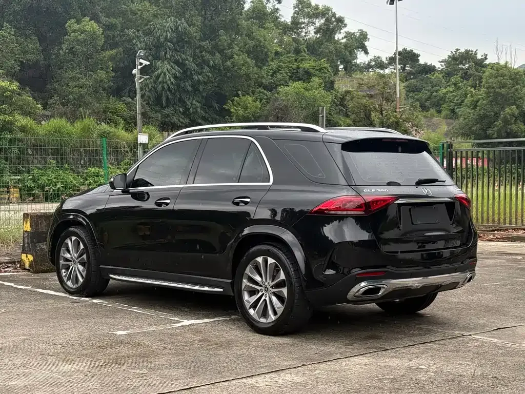 Mercedes-Benz GLE (Import) — фото 8